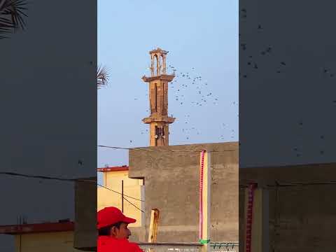 الفلوجه مدينة المساجد لكثرة المساجد فيها والتي يبلغ عددها 132 مسجدا تبعا لموقع مساجد العراق