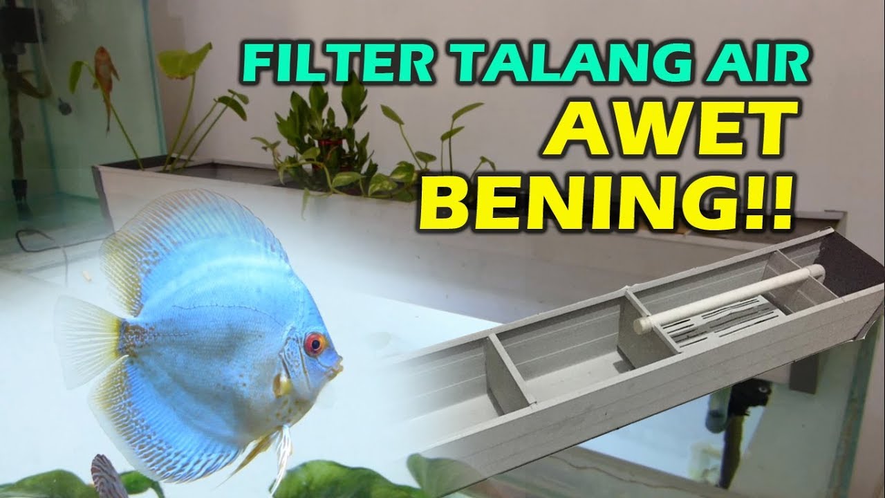 AWET BENING Aquarium Discus dengan Filter Talang Air 