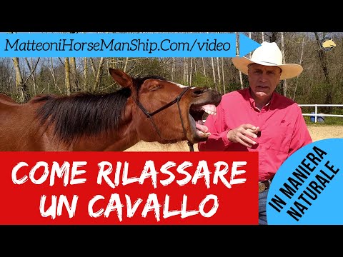 Video: Trattare con il cavallo ansioso