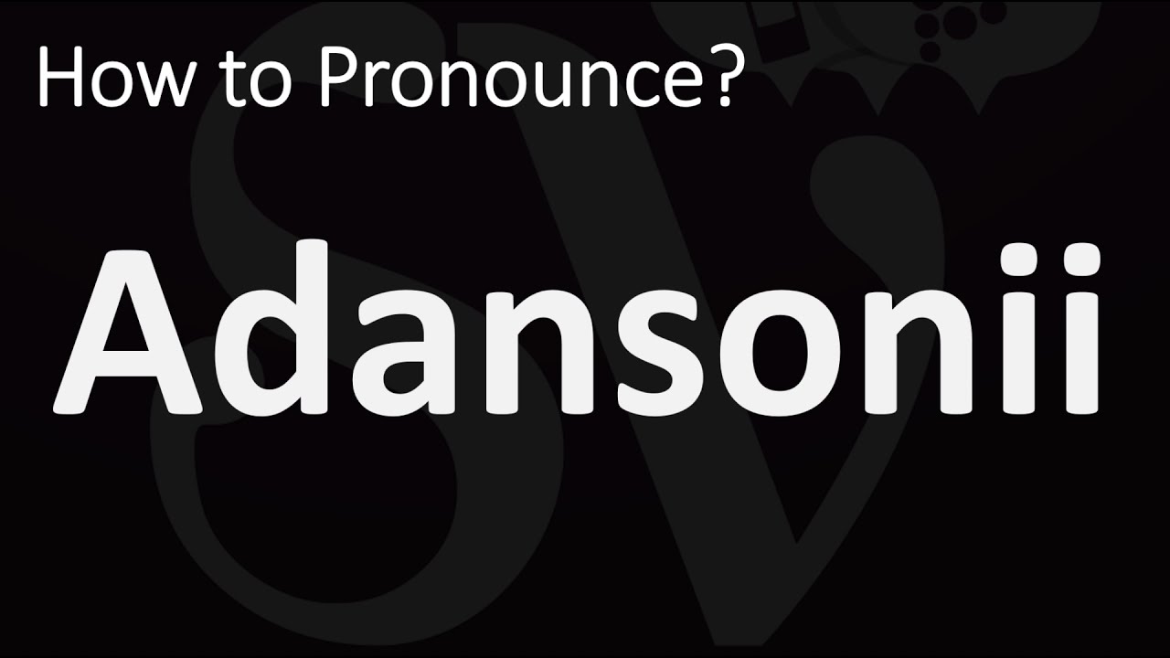 How to Pronounce Adansonii? (CORRECTLY)