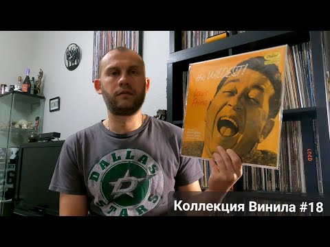 Видео: Моя Коллекция Виниловых Пластинок #18