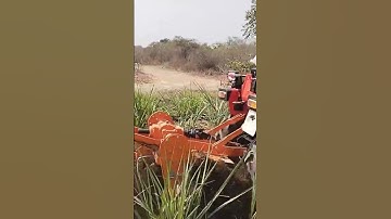 VST 929 DI EGT Duel Track 28HP Tractor | Sugarcane field #vsttractors