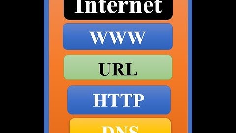 Internet, www, URL, HTTP and DNS Amharic በአማርኛ #Ethiopia #Video No. 19