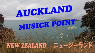 New Zealand   Auckland Music Point