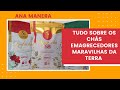 TUDO SOBRE O TÃO FALADO CHÁ SB (SECA BARRIGA)