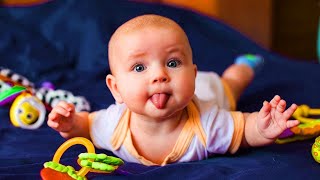 Try Not To Laugh With Funny Baby Videos Compilation