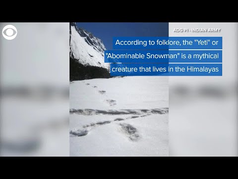 Video: A Mysterious Footprint In The Snow Frightened The Villagers Of Kuzbass - Alternative View