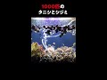 1000匹のタニシとシジミが可愛すぎる#shorts