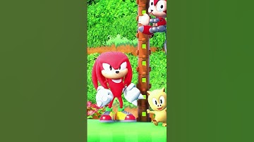 Sonic Advance 2 Reference in Sonic Origins Plus!