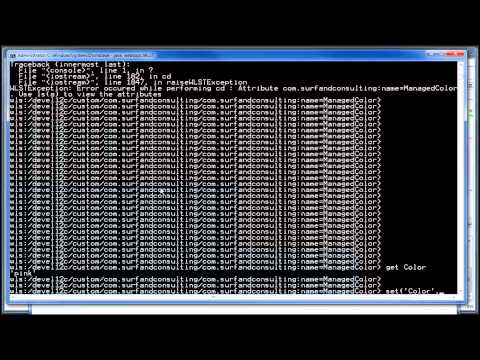 SimpleJMX Part III JSP access