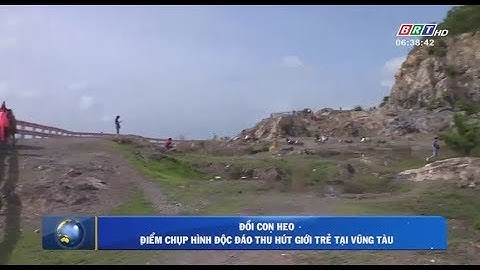 Đồi Con Heo - Điểm chụp hình độc đáo thu hút giới trẻ tại Vũng Tàu