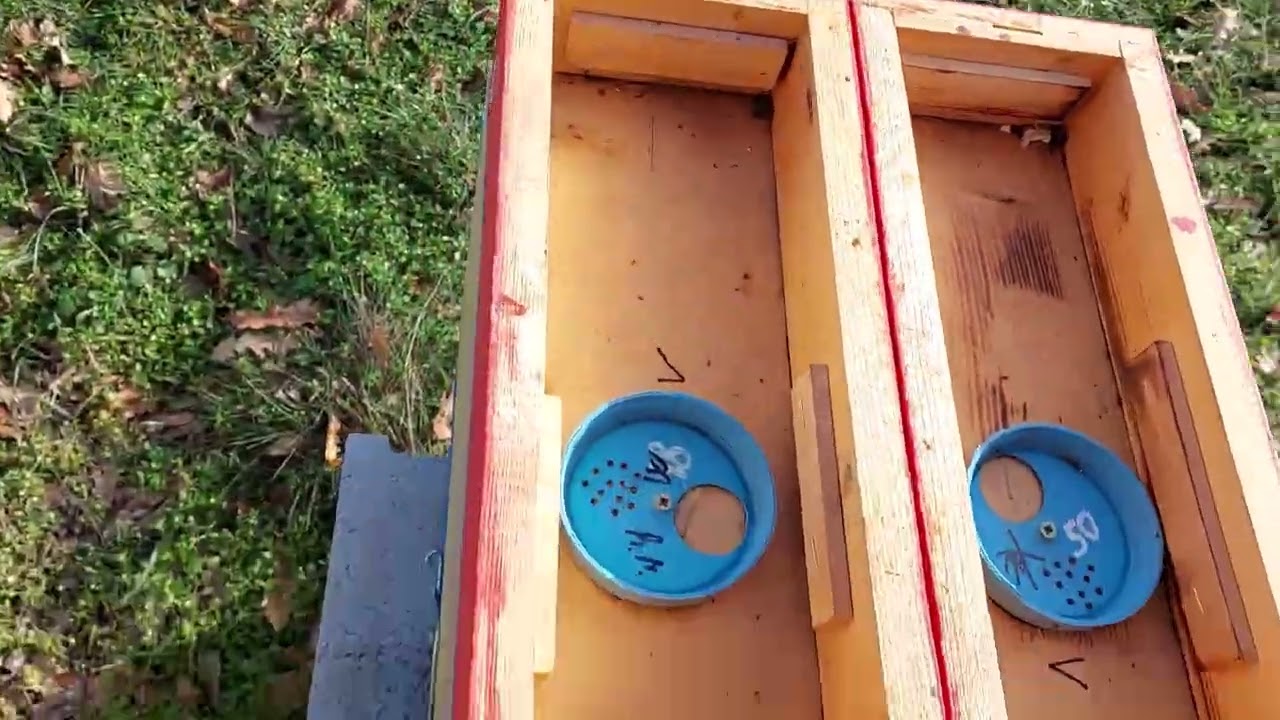 Prvi izlet pcela nakon 46 dana.