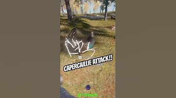 Deze AUBERHOEN was uit op BLOED!! 🐧😂🔫 #thehunter #cotw #shorts