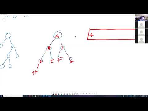 Exam 2 Review