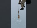 Rescue mission seen from above… ❤️ #animalrescue #dogs #emergencyrescue #firefighters #heartwarming