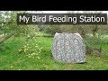 Bird Photography | My Feeding Station: Part 2