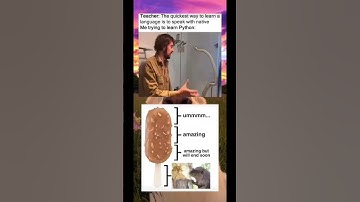 Me trying to learn python: #shorts #funny #memes