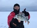 Зимняя Рыбалка на Окуня на Чудском озере. Открытие сезона 2017.