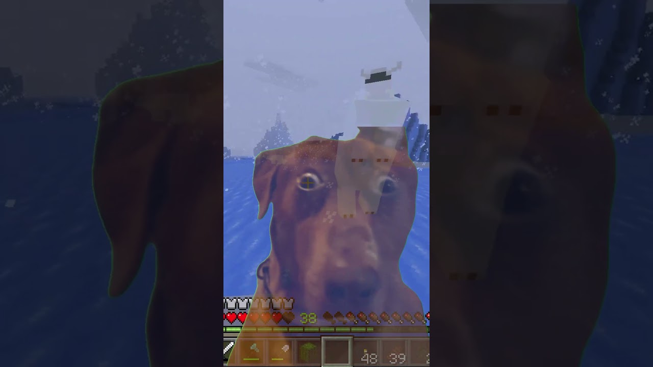 Screenshot Java vs Bedrock Showdown!