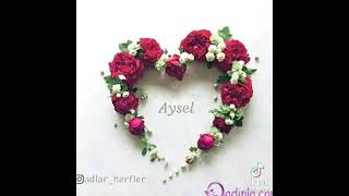 Ayseladınaistək Video