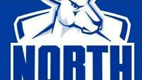 NORTH MELBOURNE END A 14 GAME LOSING STREAK AND WIN VS RICHMOND (AFL 2022)