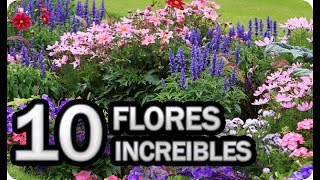 10 Flores Imprescindibles Para Poner En El Huerto o Jardin || La Huertina De Toni