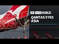 Qantas eyeing new opportunities in Asia after COVID-19 | The World