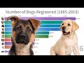Most Popular Dogs in the World (1885-2019)