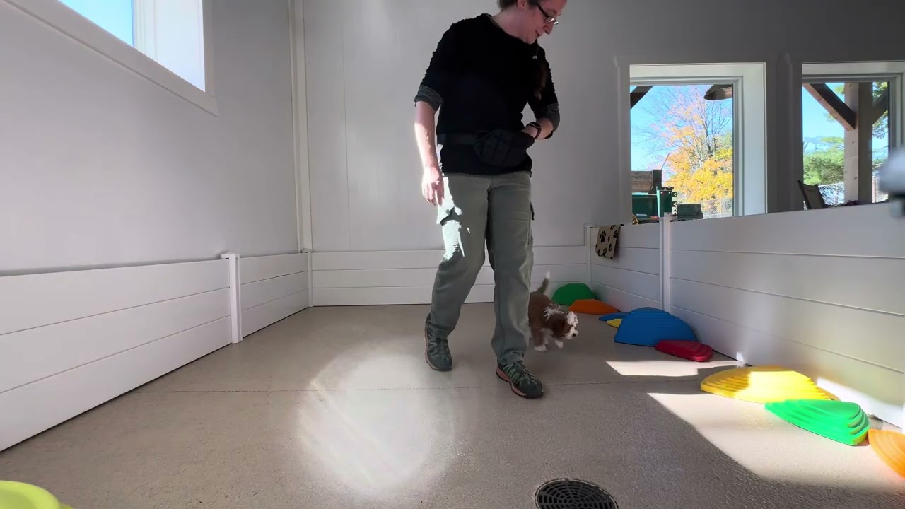 Ruby Training Hand Signals 10/28