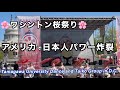 【アメリカ人の反応】ワシントン桜祭りの常連・玉川学園の巻🌸さくら・さくら祭り
