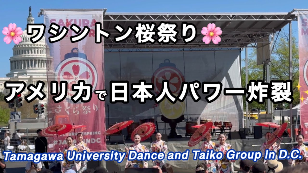 【アメリカ人の反応】ワシントン桜祭りの常連・玉川学園の巻🌸さくら・さくら祭り