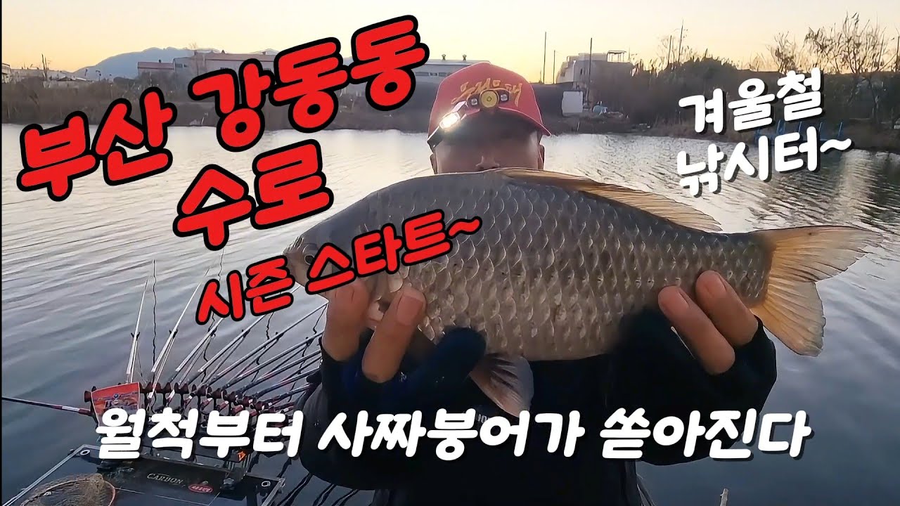부산 강동동 수로//월척붕어부터 사짜붕어가 쏟아진다//시즌 스타트~