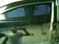 Vídeo de Asentado