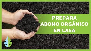 justa Insustituible influenza Cómo hacer ABONO ORGÁNICO CASERO paso a paso🌱 + Mejores fertilizantes  caseros 🍌 - YouTube