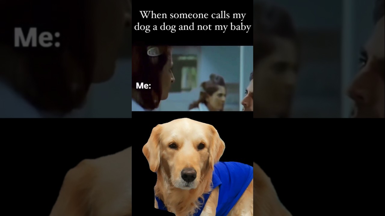 ghar ka Malik hai😄