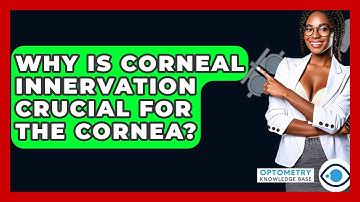 Why Is Corneal Innervation Crucial For The Cornea? - Optometry Knowledge Base
