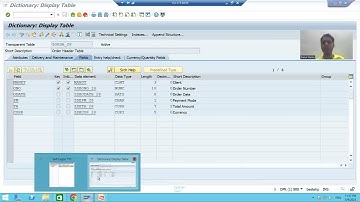 45 - ABAP Programming - Internal Table and Work Area Part1