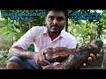       village cooking vadagal