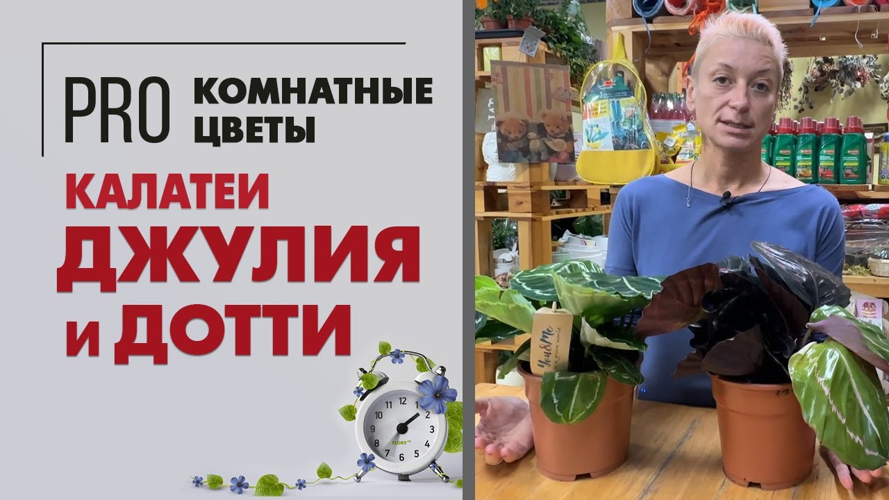 Смотреть видео Смотреть видео