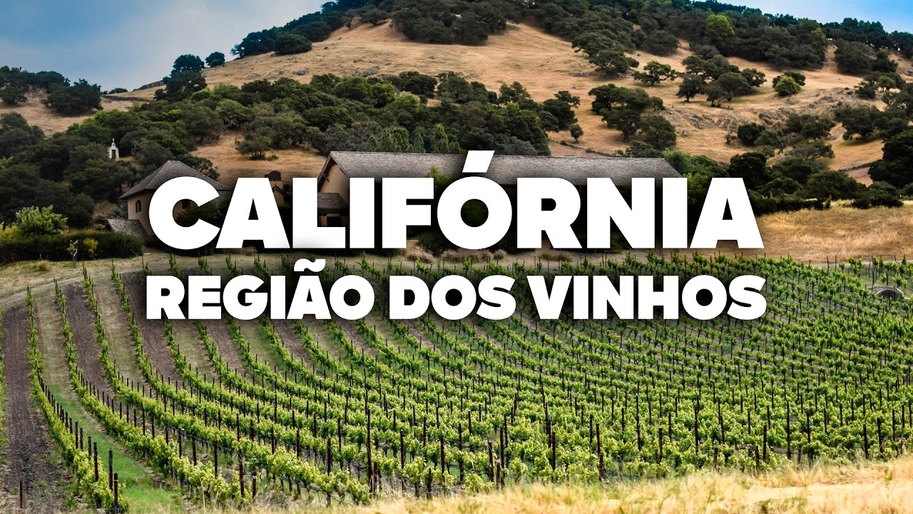 O Roteiro Mais COMPLETO pela Região dos Vinhos da Califórnia! Napa, Sonoma e Mendocino