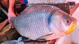 Amazing Big Katla Fish Cutting Skills In Bangladesh Fish Market | Best Cutting Skills