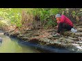 Akhirnya mancing lagi di sungai yang hampir mengering  oke juga tarikannya