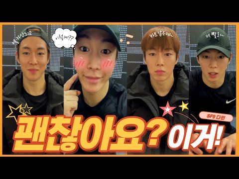 [SF9/다원] 은근 다들어주는 스윗가이 다원♥너 나쁜 아이구나!/Sweet guy Dawon does everything.