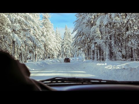 მართვა უამინდობაში - მოყინული გზა