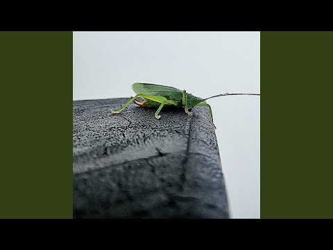 拖泥带水 (完整版)