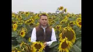BBC weather from a sunflower field at Vine House Farm, Lincolnshire