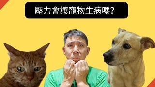 壓力會讓寵物生病嗎？ by 獸醫蔣蔣話 570 views 11 days ago 9 minutes, 39 seconds