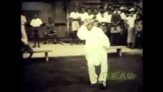 Tung Ying Chieh Taiji Tai Chi Fast Form