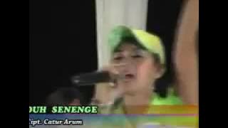 duh senenge