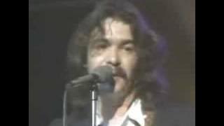 Bruised Orange - John Prine 1980 (stereo)